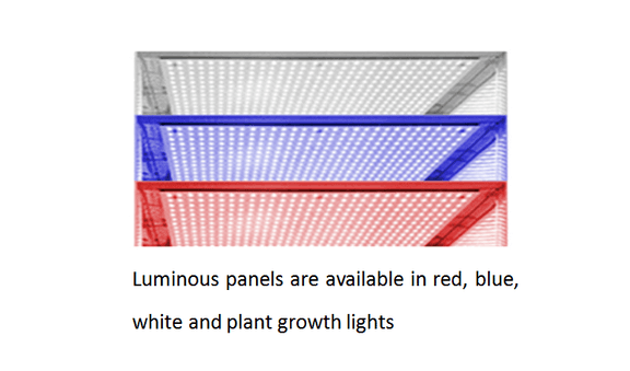 Illumination Incubator Illumination Incubator