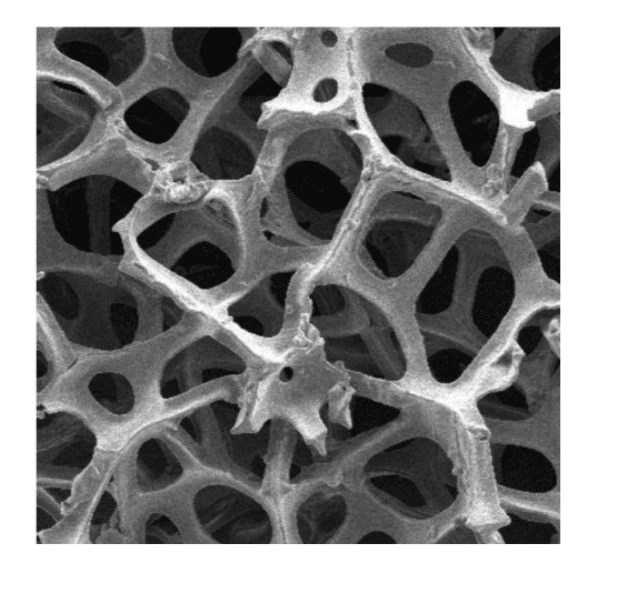 Graphene foam Graphene foam